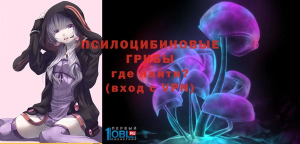 ПСИЛОЦИБИНОВЫЕ ГРИБЫ Богородицк