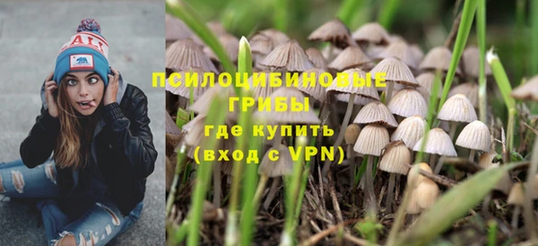 мет Богданович