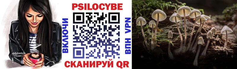 blacksprut рабочий сайт  Донской  Псилоцибиновые грибы Cubensis  купить закладку 